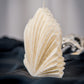 Palm Leaf