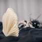 Palm Leaf